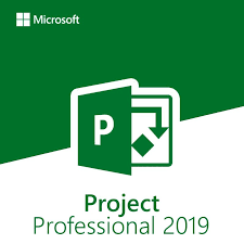 Project 2019 Professional
