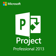 Project 2013 Professional
