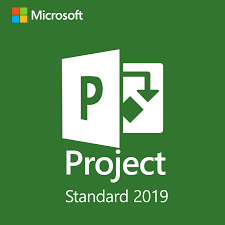 Project 2019 Standard
