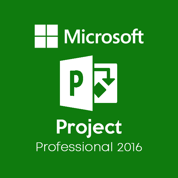 Project 2016 Professional
