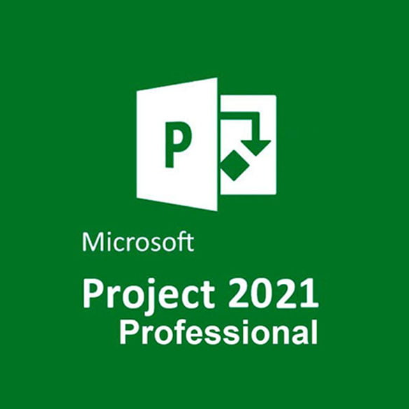 Project 2021 Professional
